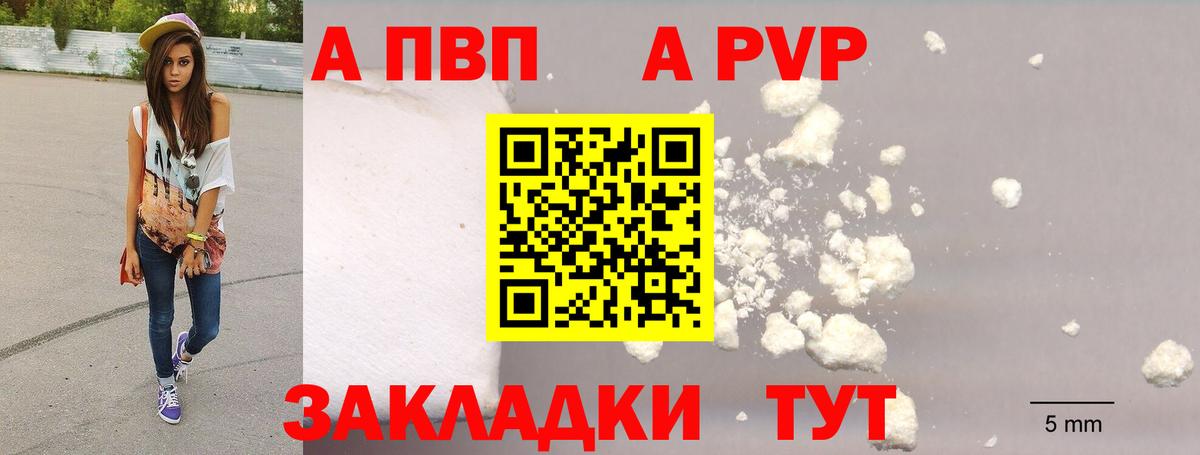 Альфа ПВП СК КРИС Ленинск-Кузнецкий