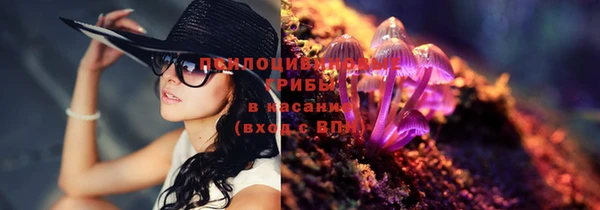 дмт Алзамай