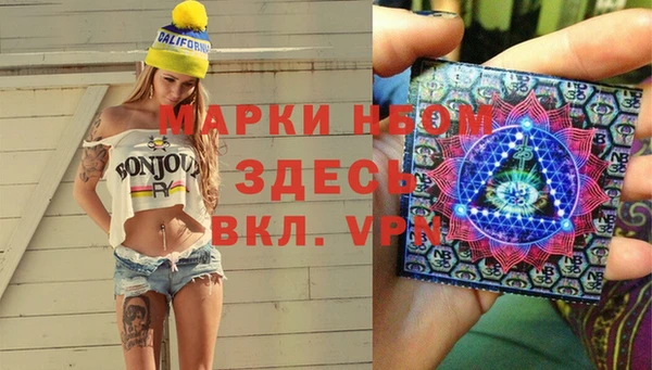 дмт Алзамай