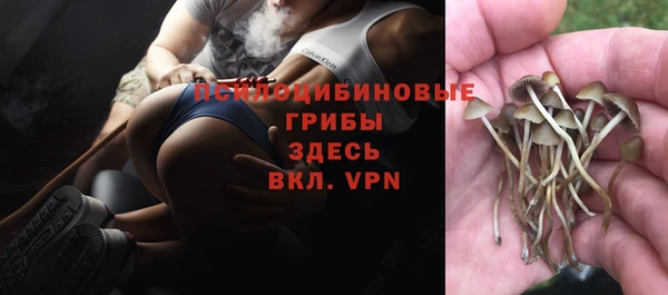 амф Алексин