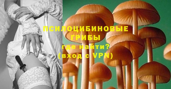 амф Алексин