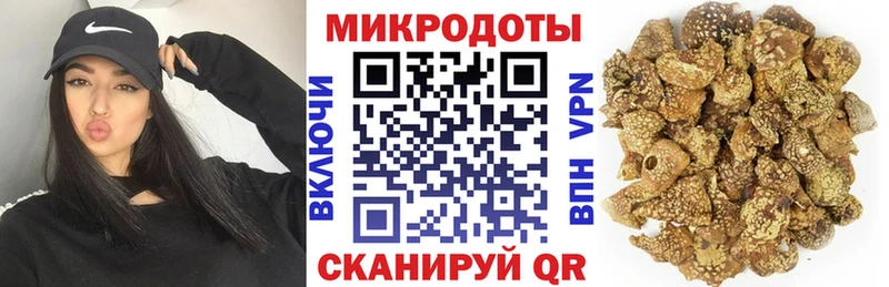 Галлюциногенные грибы Psilocybe Ленинск-Кузнецкий