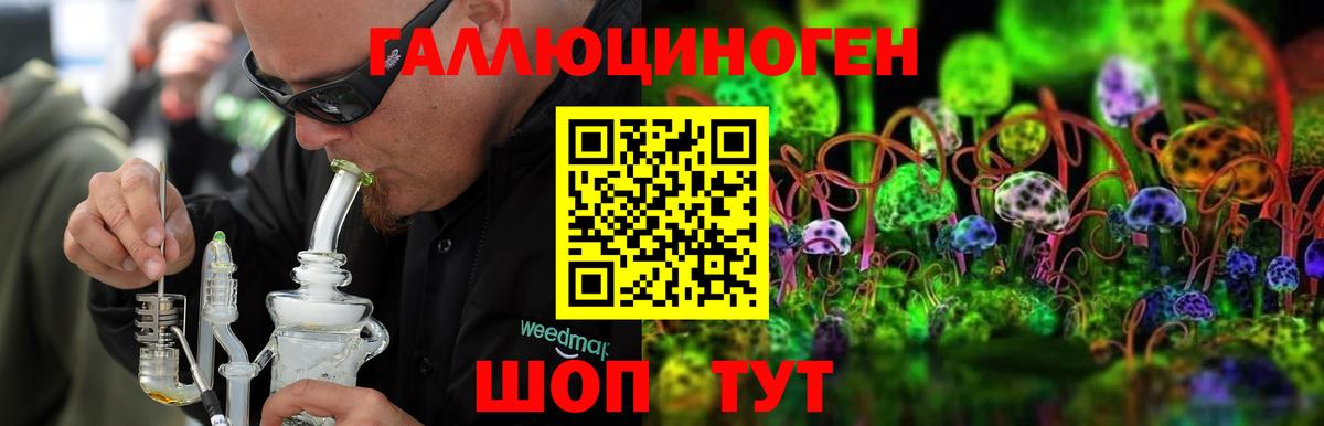 Ленинск-Кузнецкий  Галлюциногенные грибы GOLDEN TEACHER  где можно купить   Вход с VPN 
