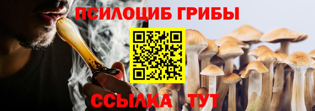 Галлюциногенные грибы GOLDEN TEACHER Ленинск-Кузнецкий