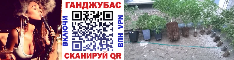 Канабис индика  дарнет шоп  Ленинск-Кузнецкий 